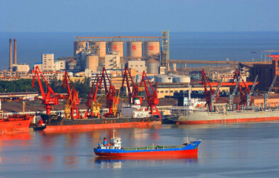 貨代需盡快辦理NVOCC資質手續，否則后果自行承擔