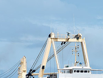 關(guān)于國(guó)際物流你需要了解的步驟