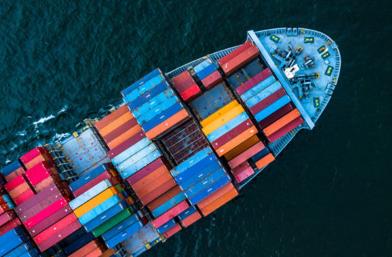 天津國際貨代公司在近年來取得了哪些成績和進步？