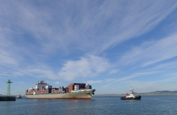 國內海運公司在全球化時代具有重要的地位和作用，面臨著挑戰和機遇