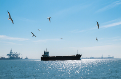 上海貨運(yùn)代理公司：服裝進(jìn)口的 “通關(guān)密鑰” 與 “物流導(dǎo)師”