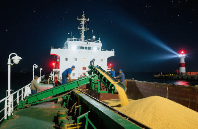 國際貨運(yùn)代理：海運(yùn) / 空運(yùn) / 陸運(yùn)全航線，訂艙到派送一站搞定